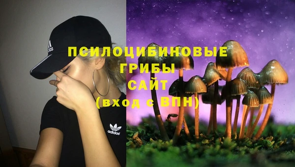ПСИЛОЦИБИНОВЫЕ ГРИБЫ Абаза
