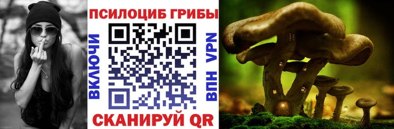 Галлюциногенные грибы Cubensis KRAKEN ССЫЛКА Пучеж